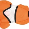 Clown Fish Windsock