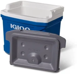 Igloo Latitude 16 Compact 15 Litre Cool Box - Blue -Klean Kanten Shop 411gMRHBtsL. AC SL1000
